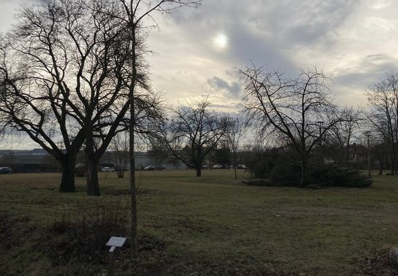 2024_raphaelelize8 2024_raphaelelize8